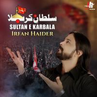 Sultan E Karbala Irfan Haider Song Download Mp3