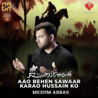 Aao Behen Sawaar Karao Hussain Ko Mesum Abbas Song Download Mp3