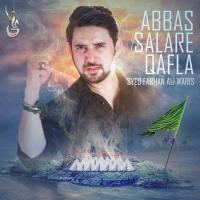 Abbas Salare Qafla Syed Farhan Ali Waris Song Download Mp3