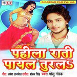 Pahila Rati Payal Turale songs mp3