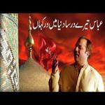 Abbas Tere Dar Sa Rahat Fateh Ali Khan Song Download Mp3