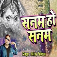 Sanam Ho Sanam Bicky Babbua Song Download Mp3