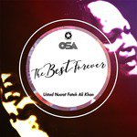 Das Ke Kasoor Na Gaya Nusrat Fateh Ali Khan Song Download Mp3