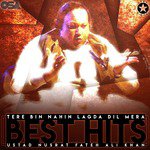 Tere Bin Nahin Lagda Nusrat Fateh Ali Khan Song Download Mp3