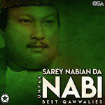 Sarey Nabian Da Nabi - Best Qawwalies songs mp3