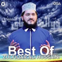 Tajdar-E-Madina Ke Jalwe Zulfiqar Ali Hussaini Song Download Mp3