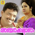 Manikya Veena (Male Version) Sreekumar Song Download Mp3