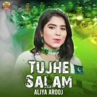 Tujhe Salam Aliya Arooj Song Download Mp3