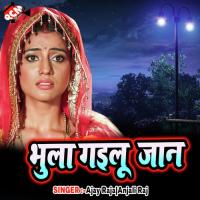 Nahi Sutale Bhatar Ako Raat Re Babuaa Bipin Song Download Mp3