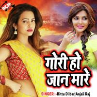 Gori Ho Jaan Mare songs mp3