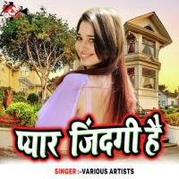 Pyar Jindgi Hai songs mp3