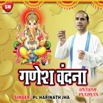 Vakra Tund Maha Kaya Pt. Harinath Jha Song Download Mp3