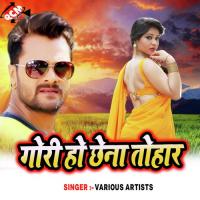 Gori Ho Chhena Tohar songs mp3