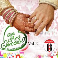 Asharanarkennum Afzal Song Download Mp3