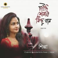 Chaichhi Shonate Kichu Gaan songs mp3