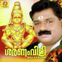 Swamiye Padanilam Babu Song Download Mp3