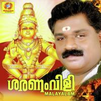 Saranam Vili Malayalam songs mp3