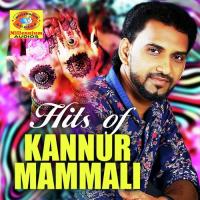 Ariyumo Venthurukum Kannur Mammali Song Download Mp3