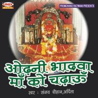 Odani Bhadwa Maa Ko Chadaau songs mp3