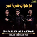 Nojawan Ali Akbar S. M. Zaki,S. M. Naqi,S. M. Razi Song Download Mp3