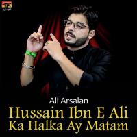 Hussain Ibn E Ali Ka Halka Ay Matam Ali Arsalan Song Download Mp3