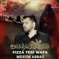 Fizza Teri Wafa Mesum Abbas Song Download Mp3