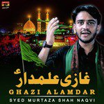 Ghazi Alamdar Syed Murtaza Shah Naqvi Song Download Mp3