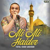 Ali Ali Haider songs mp3