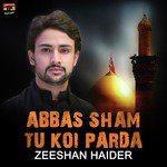 Hayi Maa De Naal Aakhiri Zeeshan Haider Song Download Mp3