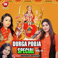 Durga Puja Special Vol-14 songs mp3
