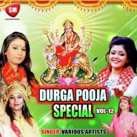 Durga Puja Special Vol-12 songs mp3