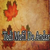 Tedi Mefil De Andar songs mp3