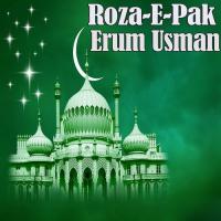 Roza-e-Pak songs mp3