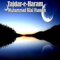 Tajdar-e-Haram songs mp3