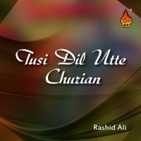 Sada Mud Ke Na Aaya Hai Rashid Ali Song Download Mp3