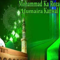 Mohammad Ka Roza songs mp3