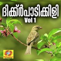 Dikkarpadikili, Vol. 1 songs mp3