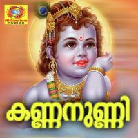Kannayennunni Manoj Krishnan,Gayathri,Sujith Song Download Mp3