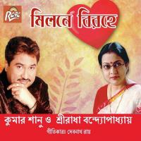 Rim Jhim Bristi Kumar Sanu Song Download Mp3