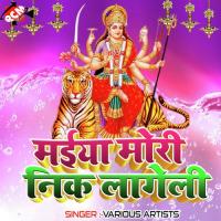 Chala Chal A Bhauji Mai Darbar Sudha Kumari Song Download Mp3