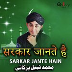 Sarkar Jante Hain songs mp3