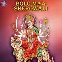 Durga Suktam Vighnesh Ghanapaathi,Gurumurthi Bhat,Shridhara Bhat Song Download Mp3