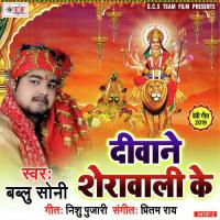 Sherawa Ke Karake Sawari Ho Bablu Soni Song Download Mp3