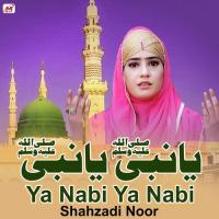 Ya Nabi Ya Nabi Shahzadi Noor Song Download Mp3