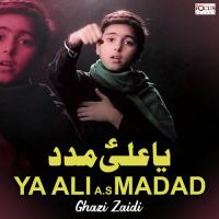Ya Ali A S Madad Ghazi Zaidi Song Download Mp3
