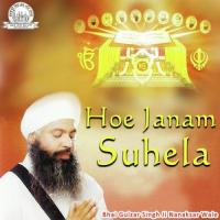 Hoe Janam Suhela Bhai Gulzar Singh Ji Nanaksar Wale Song Download Mp3