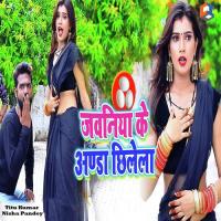 Jawaniya Ke Anda Chhilela Titu Kumar,Nisha Pandey Song Download Mp3