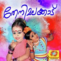Pookalam Vannallo Siddarth Vijayan Song Download Mp3