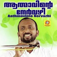 Athmavinte Nervazhi songs mp3