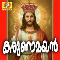 Karunamayan songs mp3